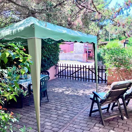 Il Ginepro E La Lantana