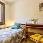 Il Ginepro E La Lantana