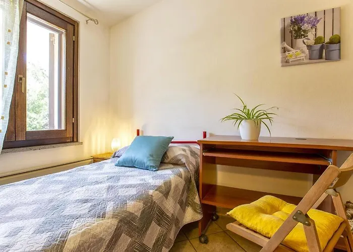 Il Ginepro E La Lantana