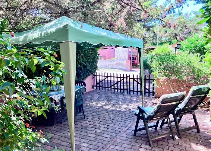 Il Ginepro E La Lantana